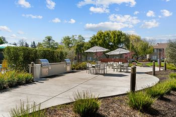 The alexandar apartments in santa rosa, california bbq and picnic area